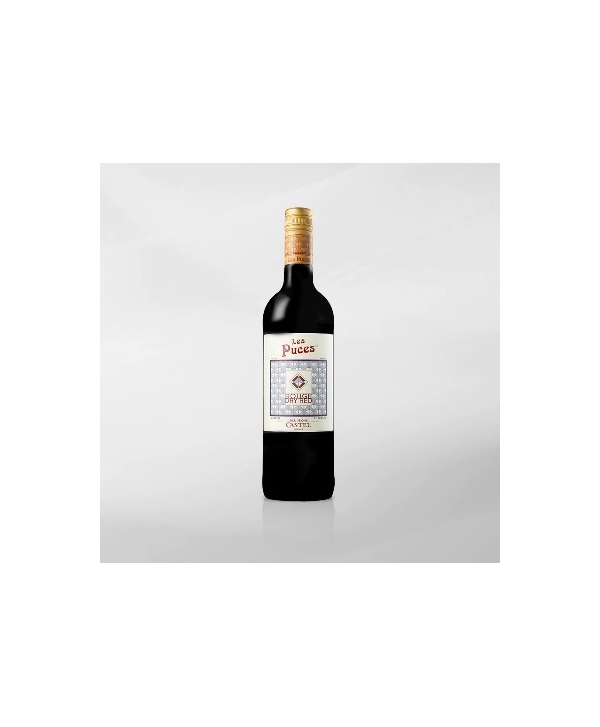 EXO123 x Vinyard Maison Castel Les Puces Dry Red 750 ml