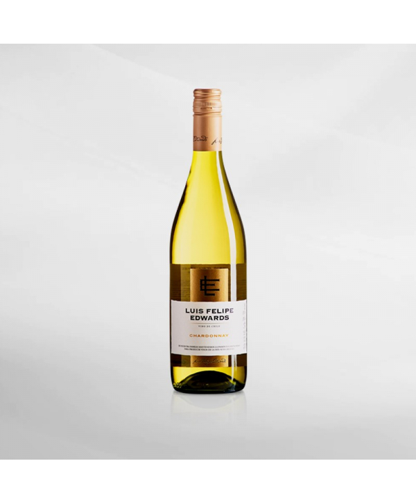 EXO123 x Vinyard 
