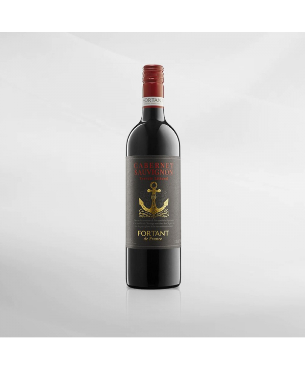 EXO123 x Vinyard 