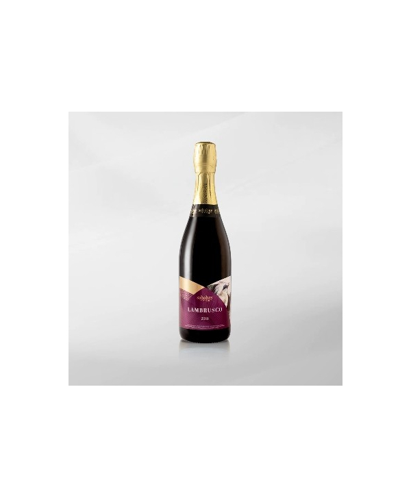 EXO123 x Vinyard Sababay Lambrusco 750 ml