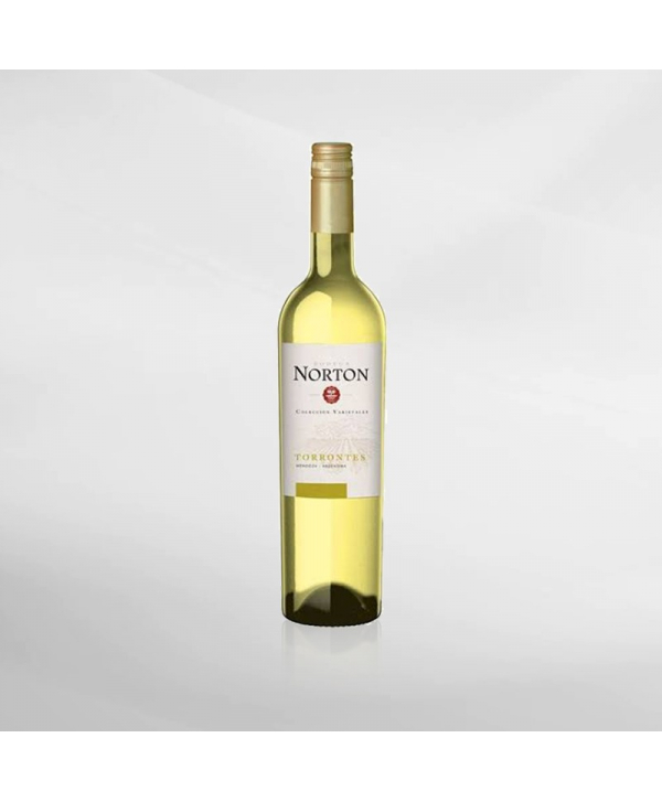 EXO123 x Vinyard 