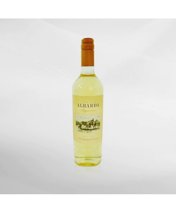 EXO123 x Vinyard 