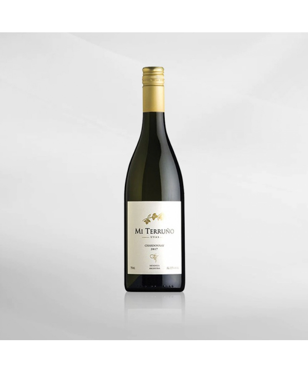 EXO123 x Vinyard 