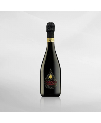 EXO123 x Vinyard Accademia Lambrusco 750 ml
