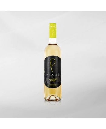EXO123 x Vinyard Plaga Sauvignon Blanc 750 ml