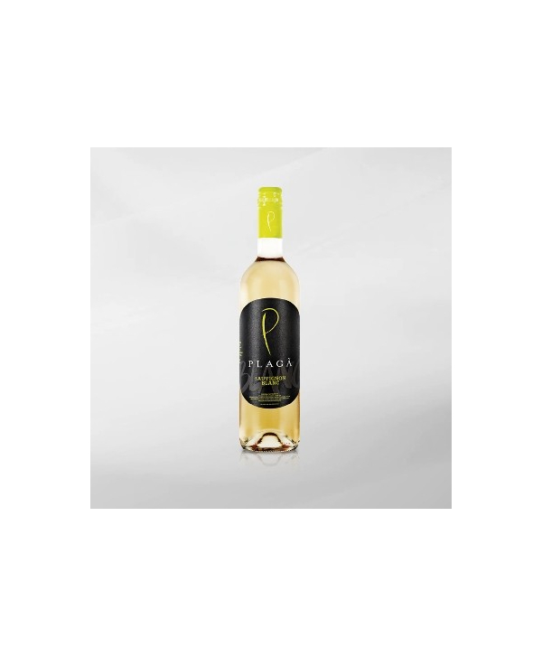 EXO123 x Vinyard Plaga Sauvignon Blanc 750 ml