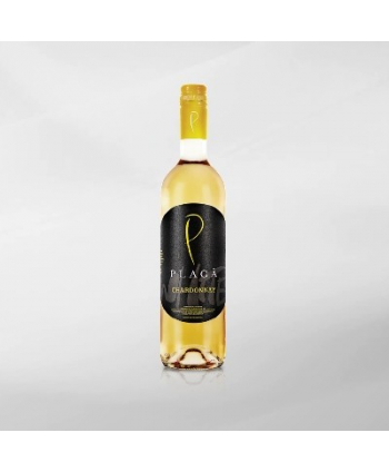 EXO123 x Vinyard Plaga Chardonnay 750 ml