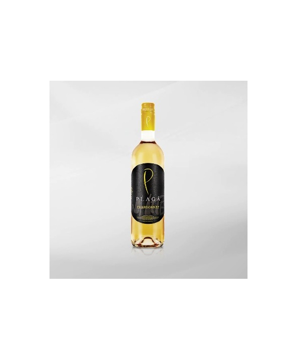 EXO123 x Vinyard Plaga Chardonnay 750 ml