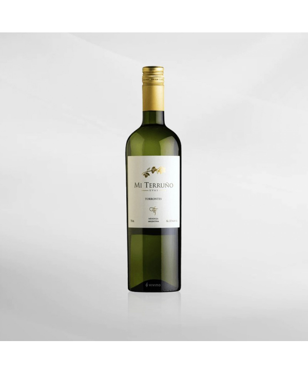 EXO123 x Vinyard 