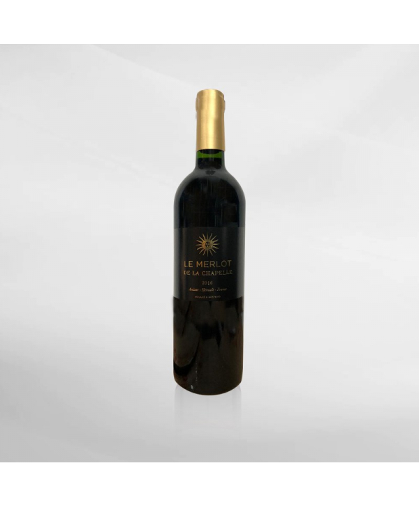 EXO123 x Vinyard 