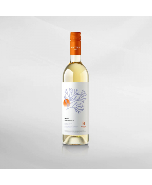 EXO123 x Vinyard 