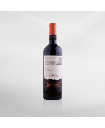 EXO123 x Vinyard Ventisquero Reserva Merlot 750 ml