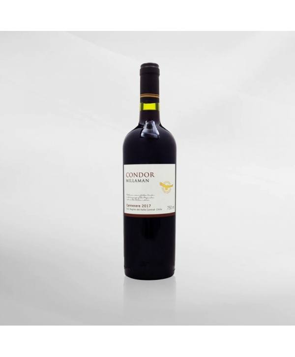 EXO123 x Vinyard Millaman Condor Carmenere 750 ml