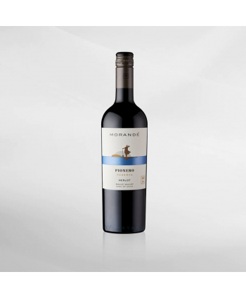 EXO123 x Vinyard Vina Morande Reserva Merlot 750 ml