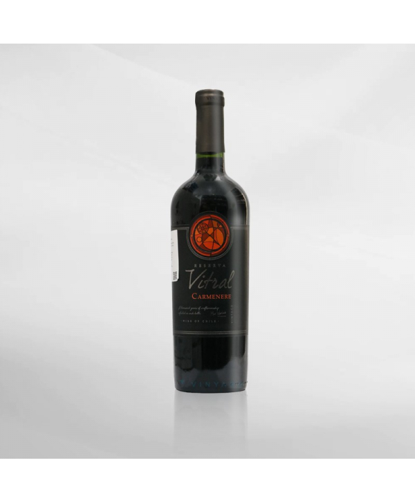 EXO123 x Vinyard Vina Maipo Vitral Reserva Carmenere 750 ml