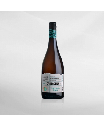 EXO123 x Vinyard Casa Marin Cartagena...