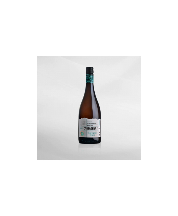 EXO123 x Vinyard 