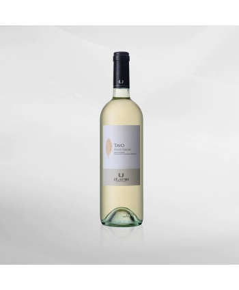 EXO123 x Vinyard I Lauri Tavo Pinot Giorgio 750 ml