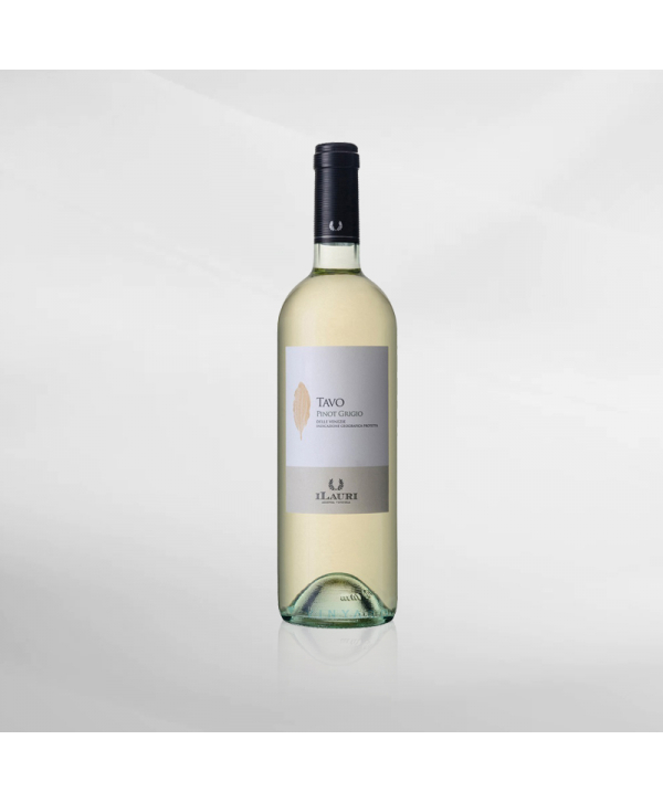 EXO123 x Vinyard I Lauri Tavo Pinot Giorgio 750 ml