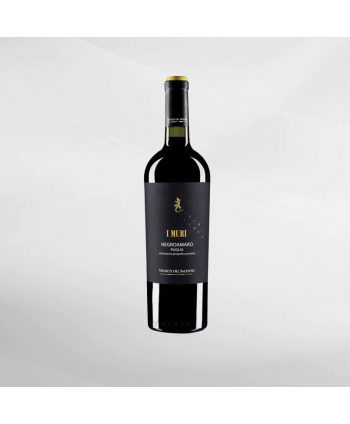 EXO123 x Vinyard I Muri Negroamaro Puglia 750 ml