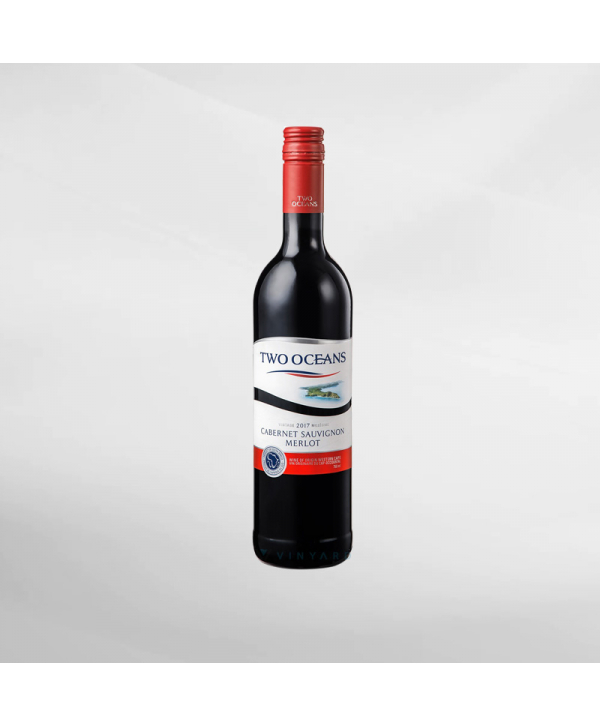 EXO123 x Vinyard Two Ocean Cabernet Sauvignon Merlot 750 ml