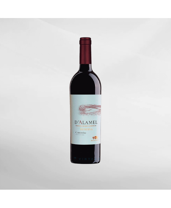 EXO123 x Vinyard 