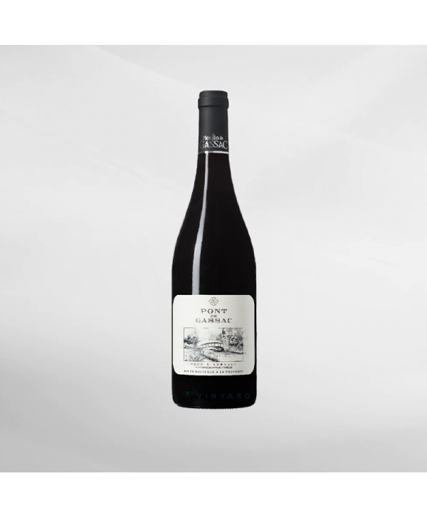 EXO123 x Vinyard 