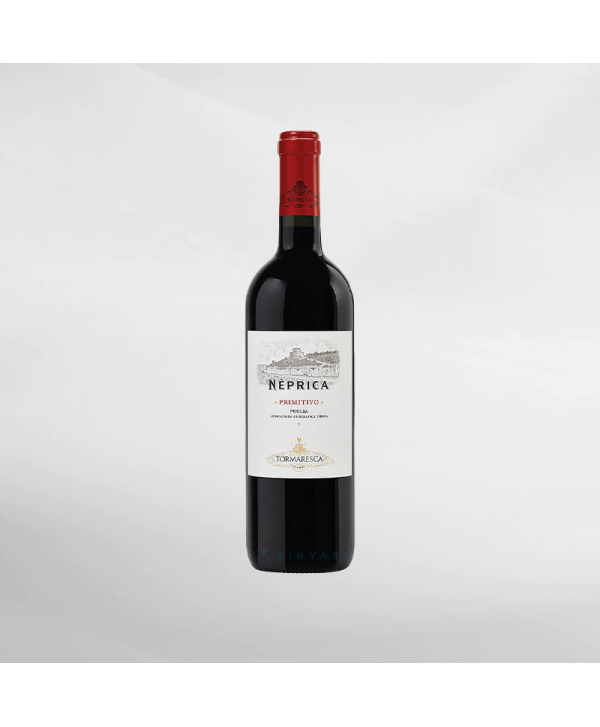 EXO123 x Vinyard 