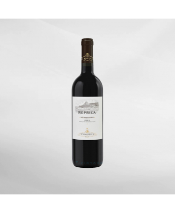 EXO123 x Vinyard Tormaresca Neprica...