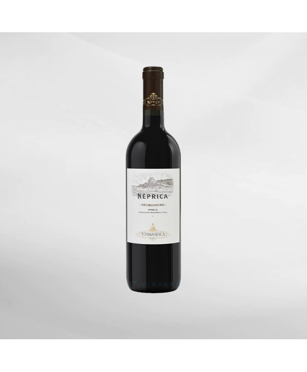 EXO123 x Vinyard 