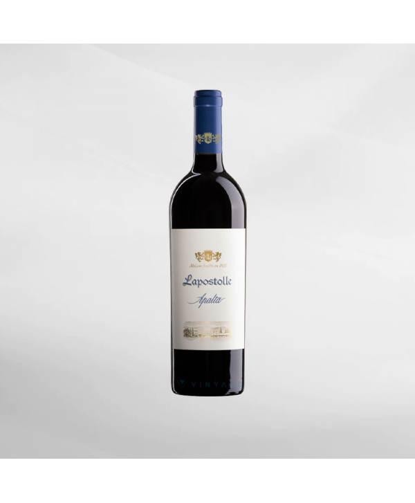 EXO123 x Vinyard 