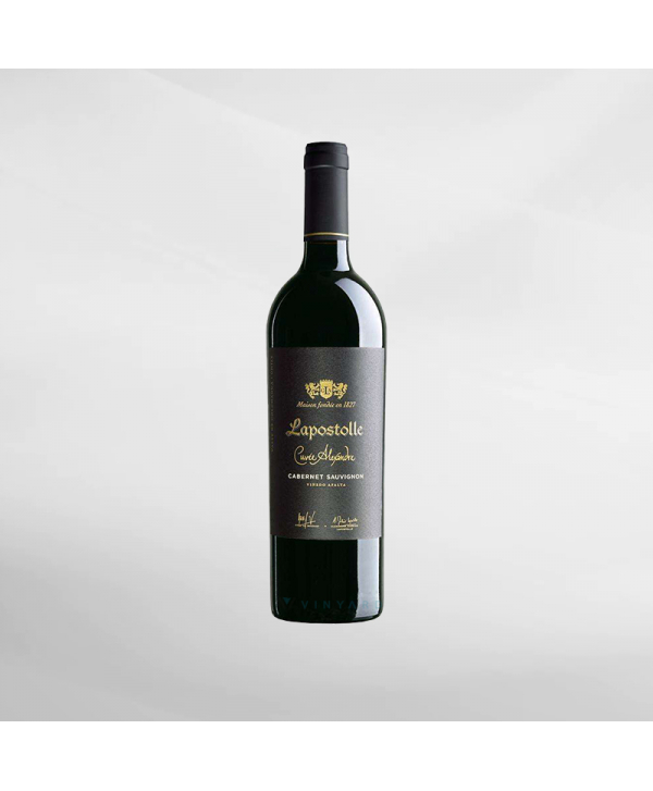 EXO123 x Vinyard 
