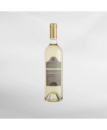 EXO123 x Vinyard Bottega Trevenezie...
