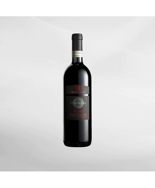 EXO123 x Vinyard 