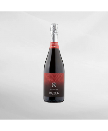 EXO123 x Vinyard MCGUIGAN BLACK LABEL...