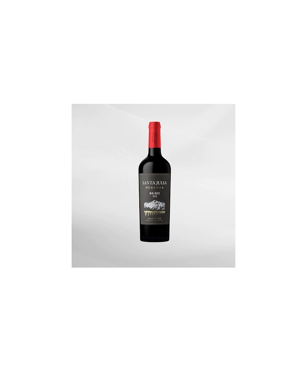EXO123 x Vinyard 