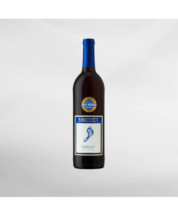 EXO123 x Vinyard 