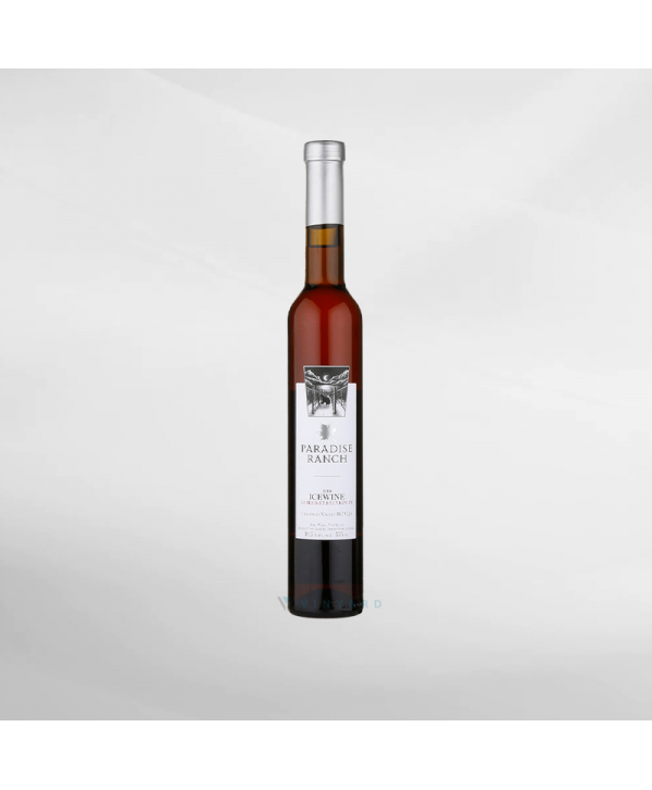 EXO123 x Vinyard 