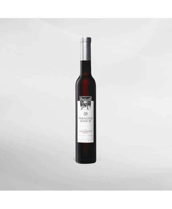 EXO123 x Vinyard 