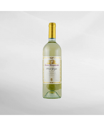 EXO123 x Vinyard Santa Margherita Pinot...