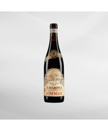 EXO123 x Vinyard Tommasi Amarone Della...