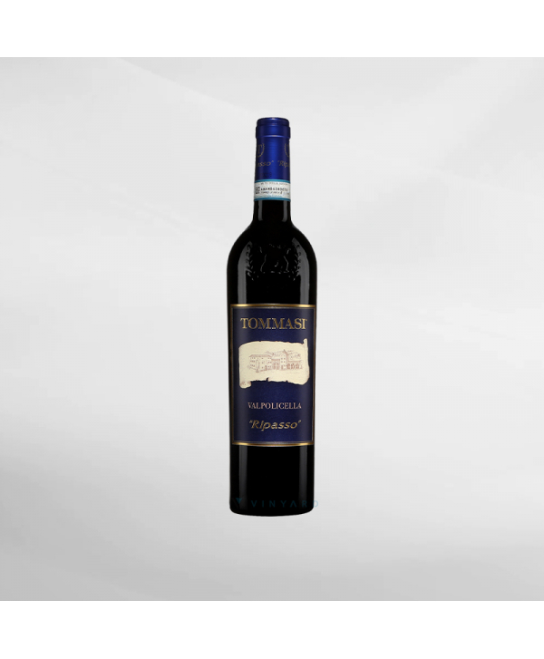 EXO123 x Vinyard 