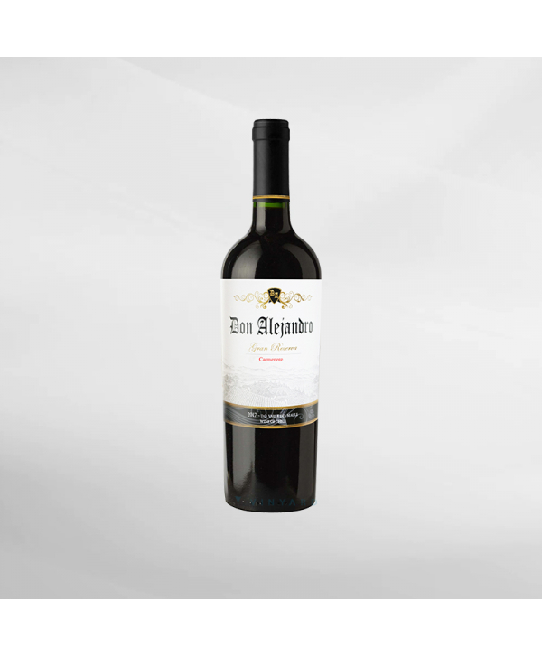 EXO123 x Vinyard 