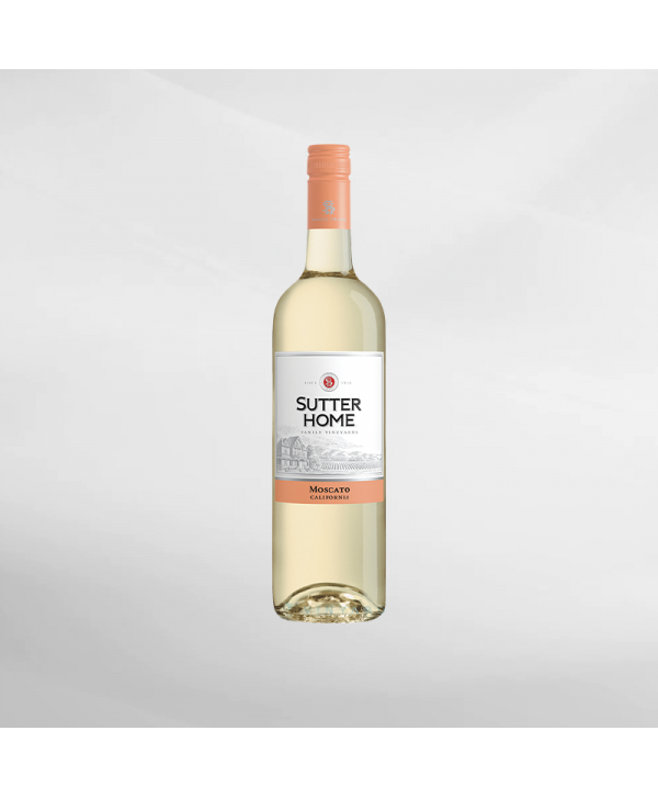 EXO123 x Vinyard 