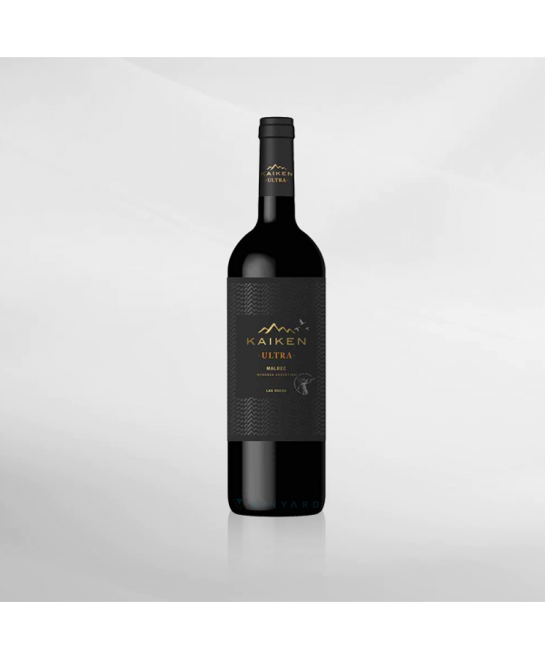 EXO123 x Vinyard 
