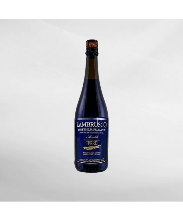 EXO123 x Vinyard 