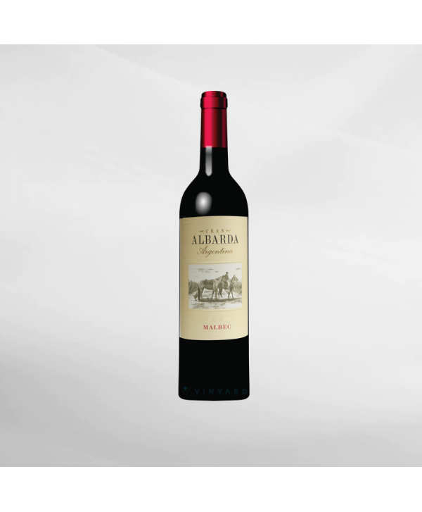 EXO123 x Vinyard 