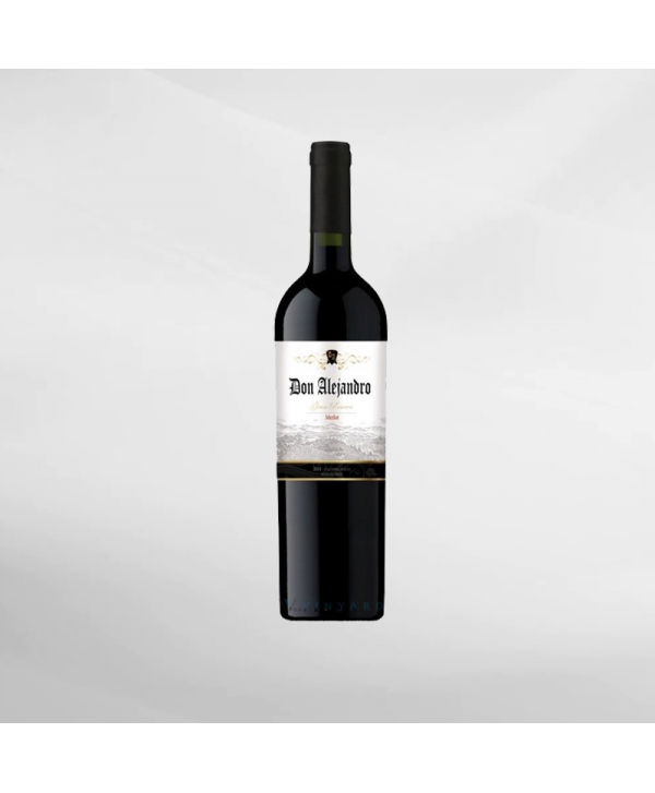 EXO123 x Vinyard 