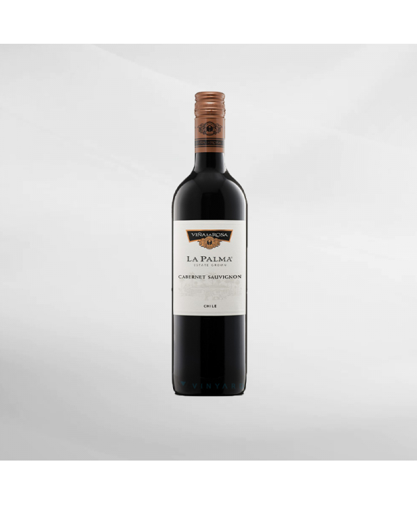 EXO123 x Vinyard 