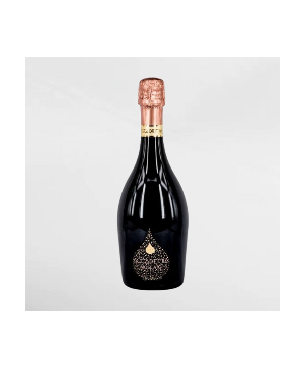 EXO123 x Vinyard 